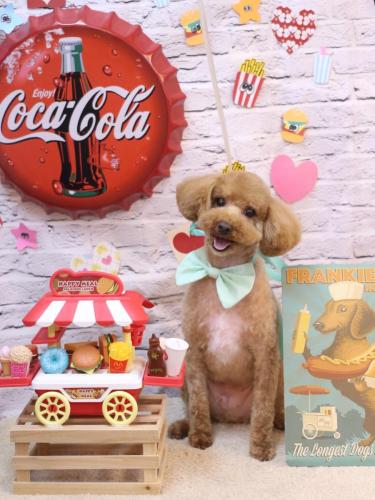 20230919サンくん